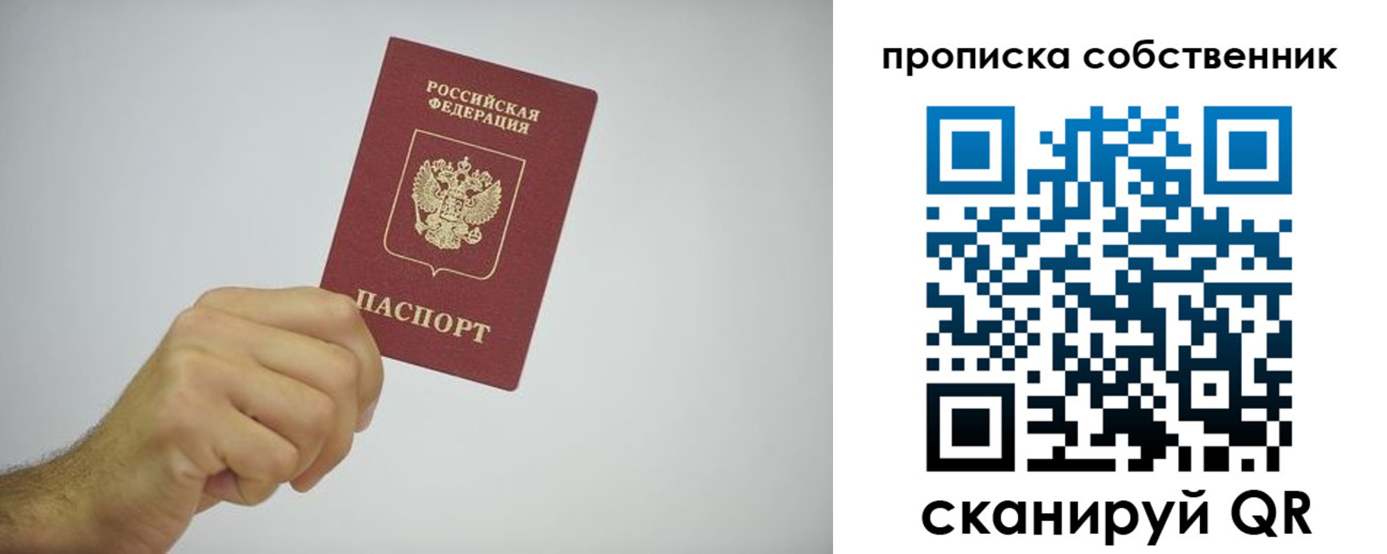 форма 3 в Камчатской области